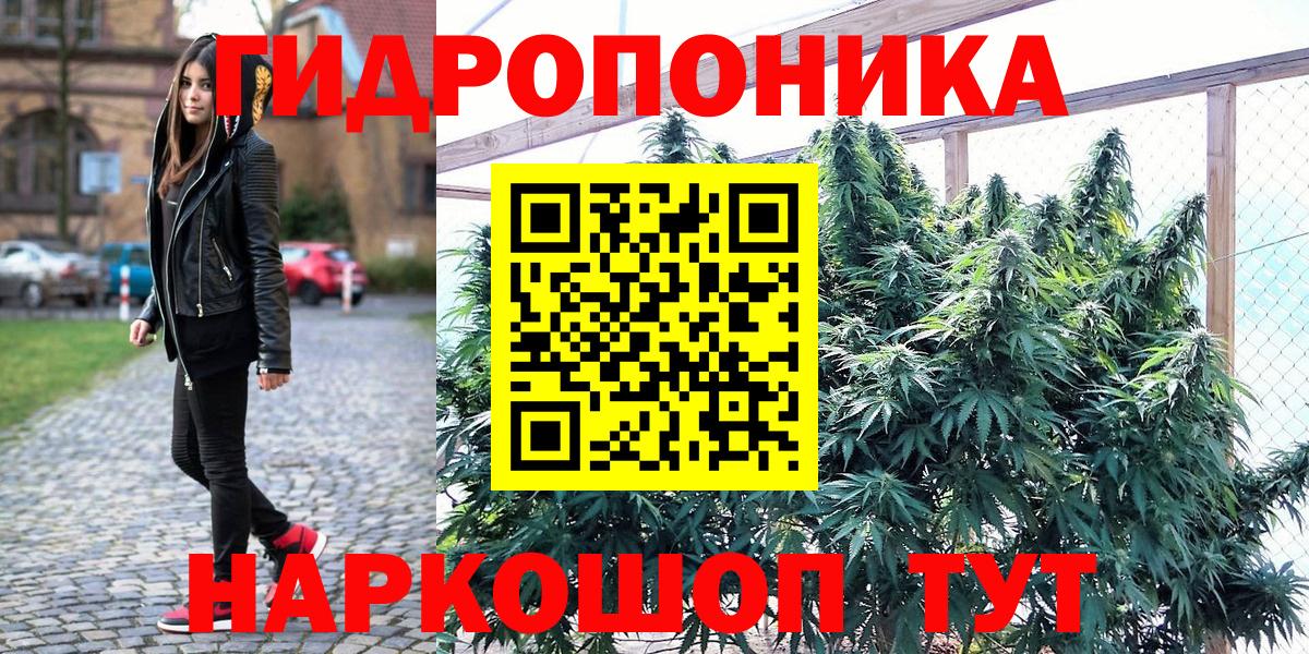 Каннабис тримм  Каннабис гибрид  Каннабис Ganja  Бошки марихуана конопля  Вход с VPN  Красногорск 